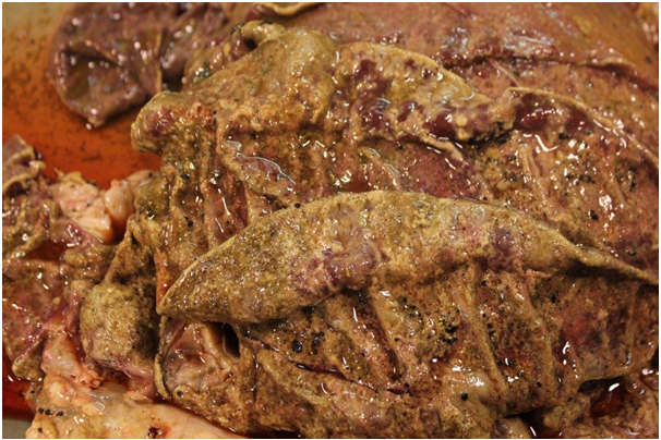 Atypical Gastroenteritis